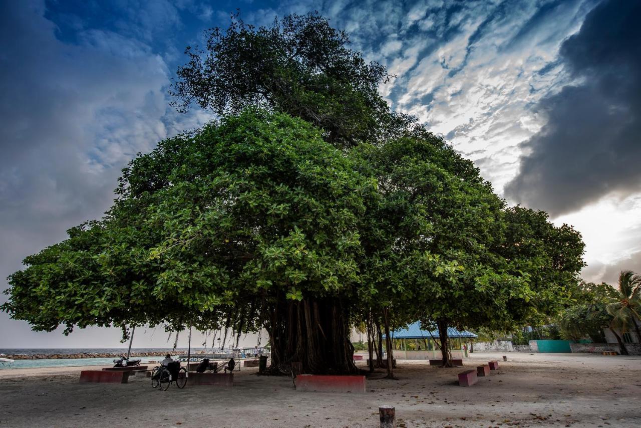 艾哈布阿萨酒店 Feridhoo 外观 照片