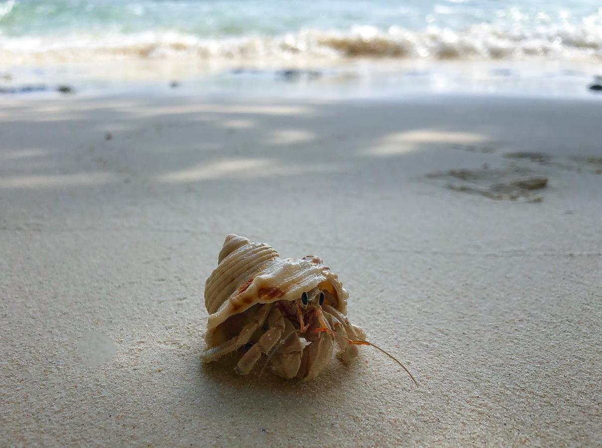 艾哈布阿萨酒店 Feridhoo 外观 照片